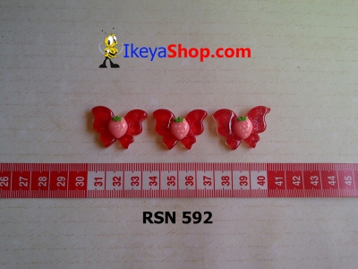 rsn 592  large2